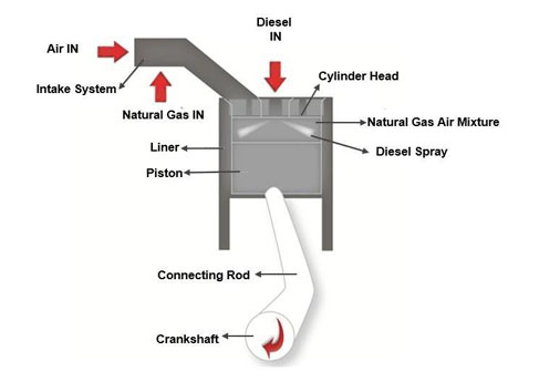 Powergen Dual Fuel Conversion Kit